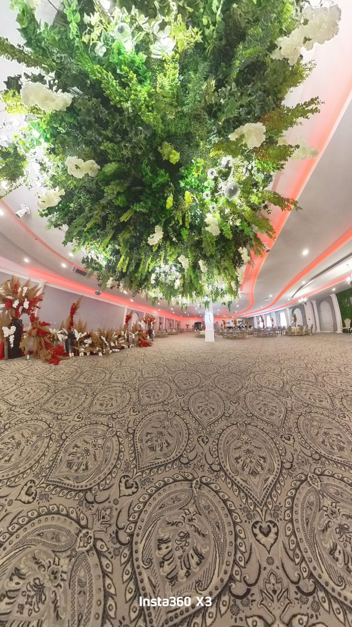 Sala Viena — 3